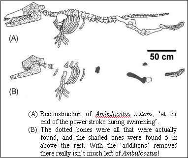 chap3_fossils_pic.gif